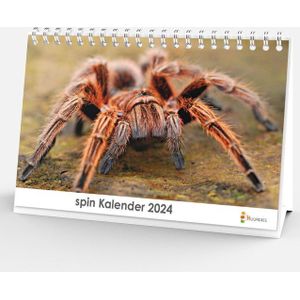 Bureaukalender 2024 - Spin - 20x12cm - 300gms