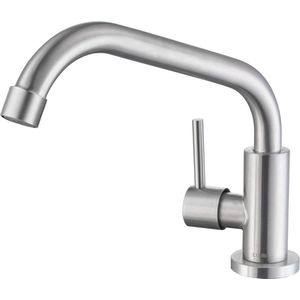 Fonteinkraan - Drinkkraan Koudwater Gootsteen Kraan met Enkele Handgreep Anti-Vingerafdruk Geborsteld Roestvrij Staal 360° Draaibaar Uitneembare Beluchter