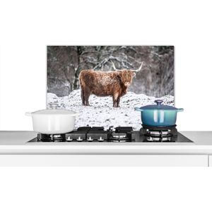 Spatscherm keuken 60x40 cm - Kookplaat achterwand Schotse Hooglander - Boom - Sneeuw - Muurbeschermer - Spatwand fornuis - Hoogwaardig aluminium