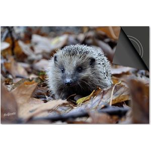 Inductie beschermer 60x52 - afdekplaat inductie mat - Dietrix Kookplaat beschermer - Base - Herfst - Egel in bladeren