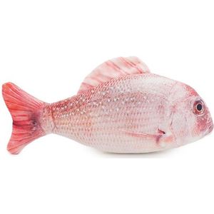 Jolly Moggy Natural Catnip Red Snapper 21 CM
