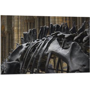WallClassics - Vlag - Zwart Skelet van een Dino - 90x60 cm Foto op Polyester Vlag