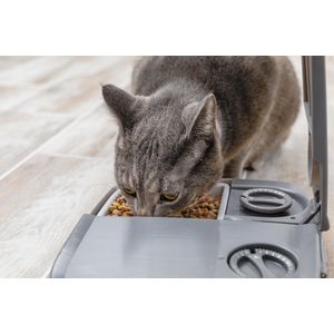 PetSafe Automatische Voerbak Kat en Hond - 2 x 150 gr - met Timer - 2 Maaltijden