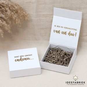 Ideefabriek - Geschenkdoos - Zwanger tweeling - Ojee het zijn er twee - Zwangerschap Aankondiging - 15 x 15 x 5 cm - Cadeaubox Wit