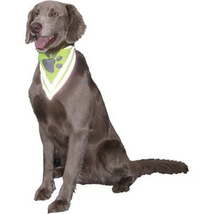 Nobby veiligheidsbandana reflecterend max. 28 cm groen 30 cm x 13 cm x 1,5 cm - 1 st