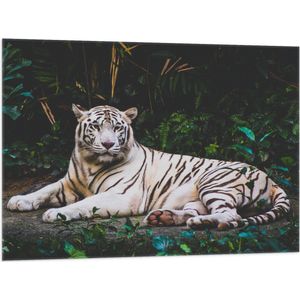 WallClassics - Vlag - Witte Tijger in de Jungle - 100x75 cm Foto op Polyester Vlag
