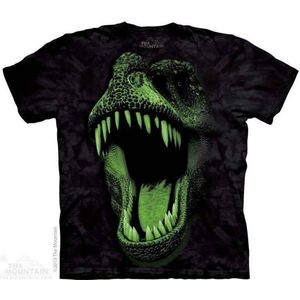 Dinosaurus kleding - T-shirt - Big Face Glow Rex - maat 116