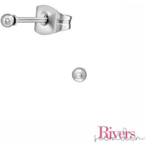 2mm oorbellen bolletjes - zilverkleurig - roestvrij staal - Rivers-sieraden - stainless steel - studs - oorbellen studs
