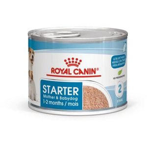 Royal Canin Mini Starter Mother & Babydog - Puppy-Hondenvoer - 4 kg