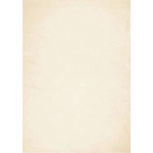 vidaXL-Vloerkleed-HUARTE-laagpolig-zacht-wasbaar-160x230-cm-crème