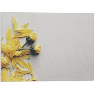 WallClassics - Vlag - Gele Bloemen met Losse Bloemblaadjes op Witte Achtergrond - 40x30 cm Foto op Polyester Vlag