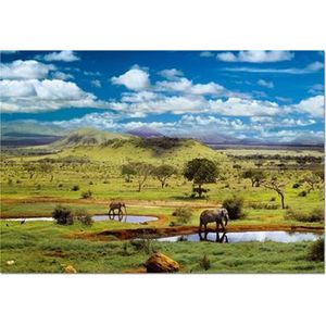 Legpuzzel - 500 stukjes - Tsavo National Park, Kenya - Educa Legpuzzel