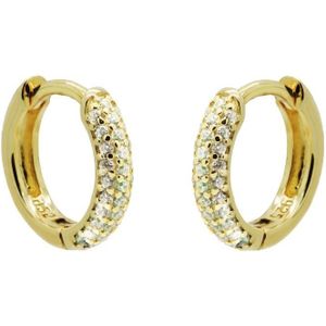 Karma Oorringen rond strass