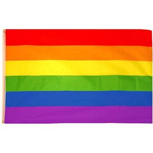 Regenboog Vlag - XL