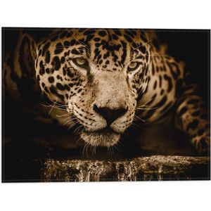 WallClassics - Vlag - Bruine Jaguar - 40x30 cm Foto op Polyester Vlag