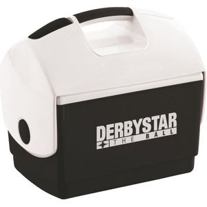 Koelbox 10 Liter - Ideaal voor Dranken en IJs