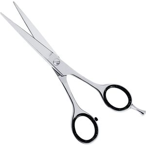 Guardian Beauty Professionele Haarschaar – Precisieschaar van Duits Roestvrij Staal voor Salon, Kapsalon en Thuisgebruik (7 Inch, Zilver)