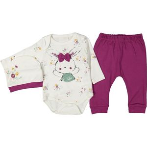 kindje kleding - maisje set - rompers - broekje - muts - meisje - baby girl - maat 68/74 - purple - paars