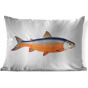 Sierkussens - Kussen - Oranje zalm vis op een witte achtergrond - 60x40 cm - Kussen van katoen