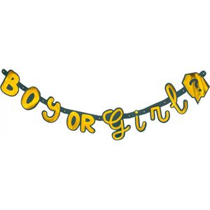 Letterslinger - boy or girl - 130 cm - babyshower - gender reveal - karton - geel