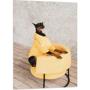 WallClassics - Vlag - Blije Hond met Gele Jas - 70x105 cm Foto op Polyester Vlag