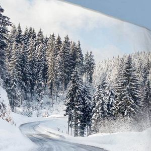 Good Morning Dekbedovertrek ""Snowy Road"" - Multi - (240x200/220 cm)