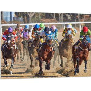 WallClassics - Vlag - Paarden Race - 100x75 cm Foto op Polyester Vlag