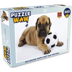 Puzzel Een bruine puppy met een voetbal - Legpuzzel - Puzzel 500 stukjes