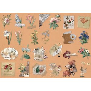 Set van 50 stickers - Forest Adventure - Bloemen - Flower Sticker - Botanical - Flowers