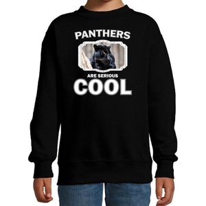 Dieren panters sweater zwart kinderen - panthers are serious cool trui jongens/ meisjes - cadeau zwarte panter/ panters liefhebber - kinderkleding / kleding 152/164