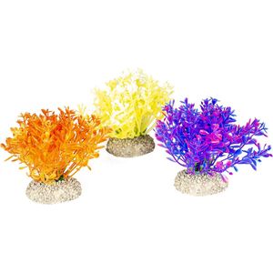 Aqua Della - Aquariumplanten (voeding) - Vissen - Plant Glosso S - Height 9cm Gemengde Kleuren - 1st