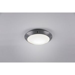 REALITY CAMARO - Plafondlamp - Antraciet - excl. 1x E27 4,9W - Buitenverlichting - IP54