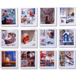 12 Luxe Kerst / Winter wenskaarten zonder tekst - 12x11cm - Gevouwen kaarten met envelop