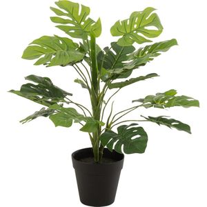 J-Line plant Philodendron In Pot - kunststof - groen - small