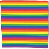 Bellatio Regenboog - Bandana - 55x55 cm - Multicolour