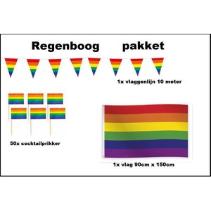 Regenboog versiering pakket - Vlag Regenboog(90cmx150cm) - Cocktailprikkers Regenboog(50stuks) - Vlaggenlijn Regenboog 10 meter(1 stuks) - Rainbow Europa pride festival evenement party decoratie