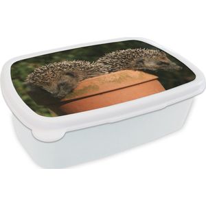 Broodtrommel Wit - Lunchbox - Brooddoos - Twee egels op een pot - 18x12x6 cm - Volwassenen