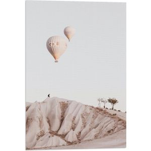 WallClassics - Vlag - Twee Luchtballonnen boven Rotslandschap - 40x60 cm Foto op Polyester Vlag