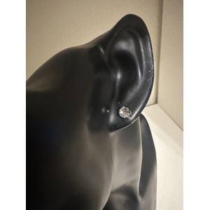 Zirkonia magneet oorknoppen transparant 0.5 doorsnee | Moederdag | Verjaardagscadeau| Cadeautje| Valentijnsdag| Kado | sieraden | vaderdag | oorbellen | oorsieraden
