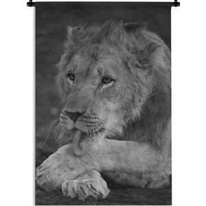 Wandkleed Leeuw in zwart wit - Leeuw die aan zijn poot likt Wandkleed katoen 120x180 cm - Wandtapijt met foto XXL / Groot formaat!