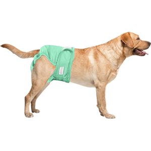 Loopsheidbroekje Hond - L - Hondenluier - Groen - Wasbaar - Bij loopsheid, incontinentie bij teefjes - Hondenluier - Voor honden