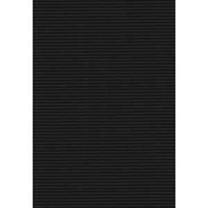 golfkarton Folia 50x70cm 10 vel zwart