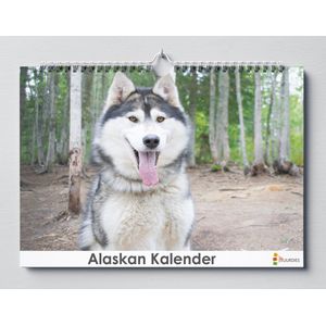 Alaskan kalender 35x24 cm | Verjaardagskalender Alaskan | Hondenras Alaskan | Verjaardagskalender Volwassenen