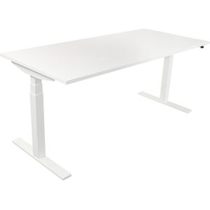 Elektrisch verstelbaar bureau 160 x 80 cm met wit frame en gebleekt eiken werkblad.