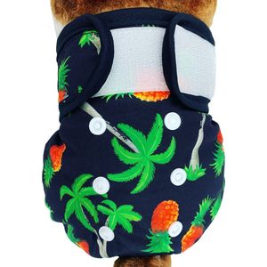 Sharon B Loopsheidbroekje hond - ananas - Maat XL - Wasbaar - taille 48-69 cm - Bij loopsheid, incontinentie bij teefjes - Hondenluier - Voor honden