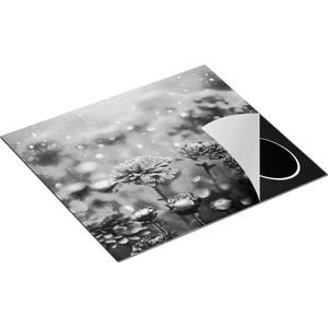 Chefcare Inductie Beschermer Rode Bloemen - Zwart Wit - 57,6x51,6 cm - Afdekplaat Inductie - Kookplaat Beschermer - Inductie Mat