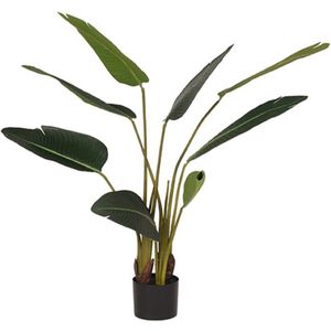 LABEL51 Kunstplant Strelitzia 70x70x100 cm - Groen - Kunststof