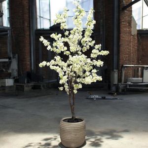 Seta Fiori - Kunst Bloesemboom - Kunstboom - 175cm - crème wit - Allergie vrij - geheel kunst stof - Sakura