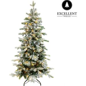 Kerstboom Excellent Trees® LED Varberg Green 150 cm - Luxe uitvoering- 170 Lampjes