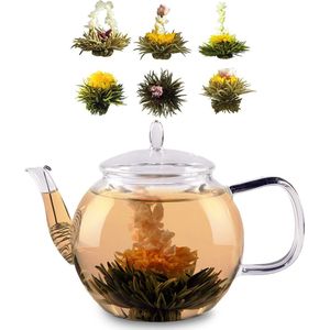 Glazen kan 800 ml | borosilicaatglas | met deksel en theezeef